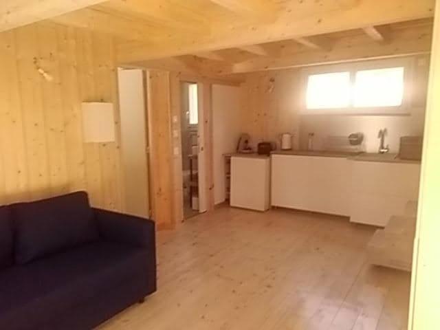 Studio Dans Les Pins Lacanau Lejlighed Eksteriør billede